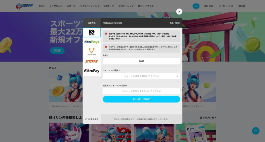 賭けリン公式サイト 決済方法選択