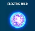ELECTRIC WILD