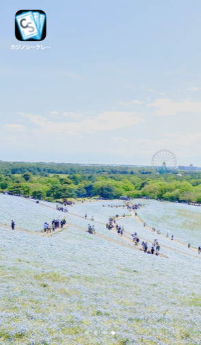 ホーム画面