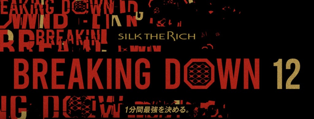 SILK THE RICH BREAKING DOWN 12