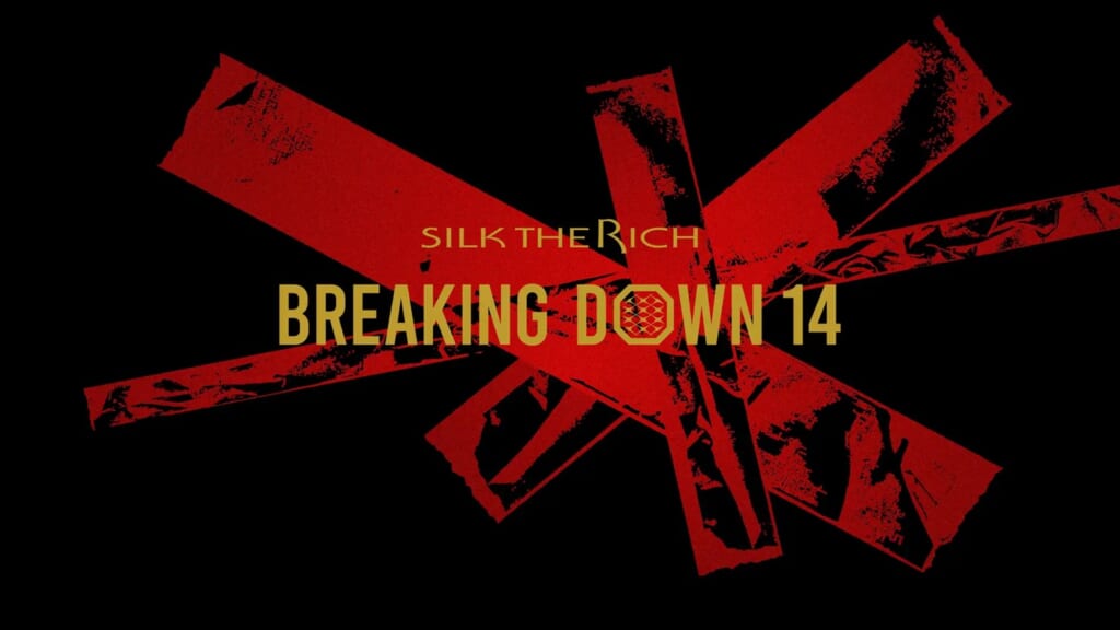 breakingdown14_eyecatch