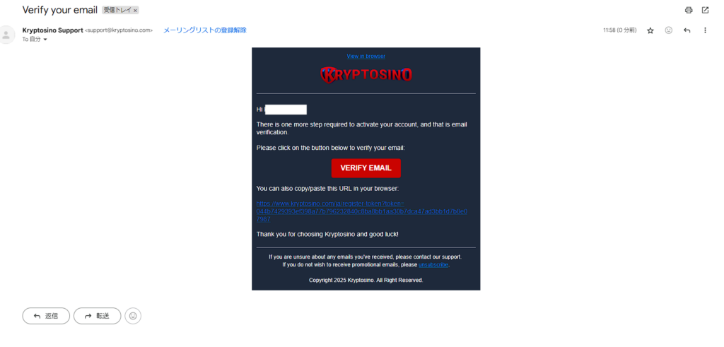 VERIFY EMAIL