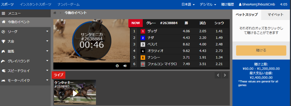 バーチャルレーシング