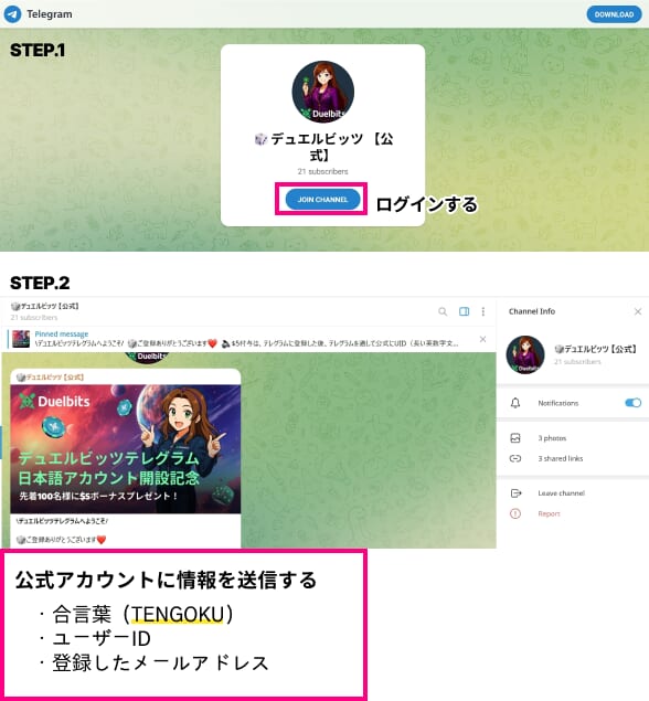 デュエルビッツ テレグラム